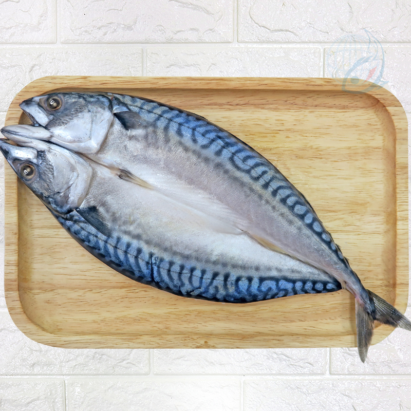 鯖魚蝴蝶切